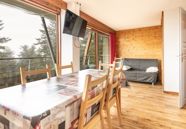 Apartment in Chamrousse - Spacious apt 8 ppl, terrace, near the ski station
