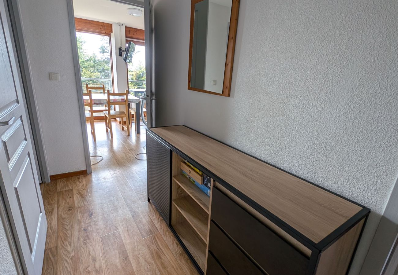 Apartment in Chamrousse - Spacious apt 8 ppl, terrace, near the ski station