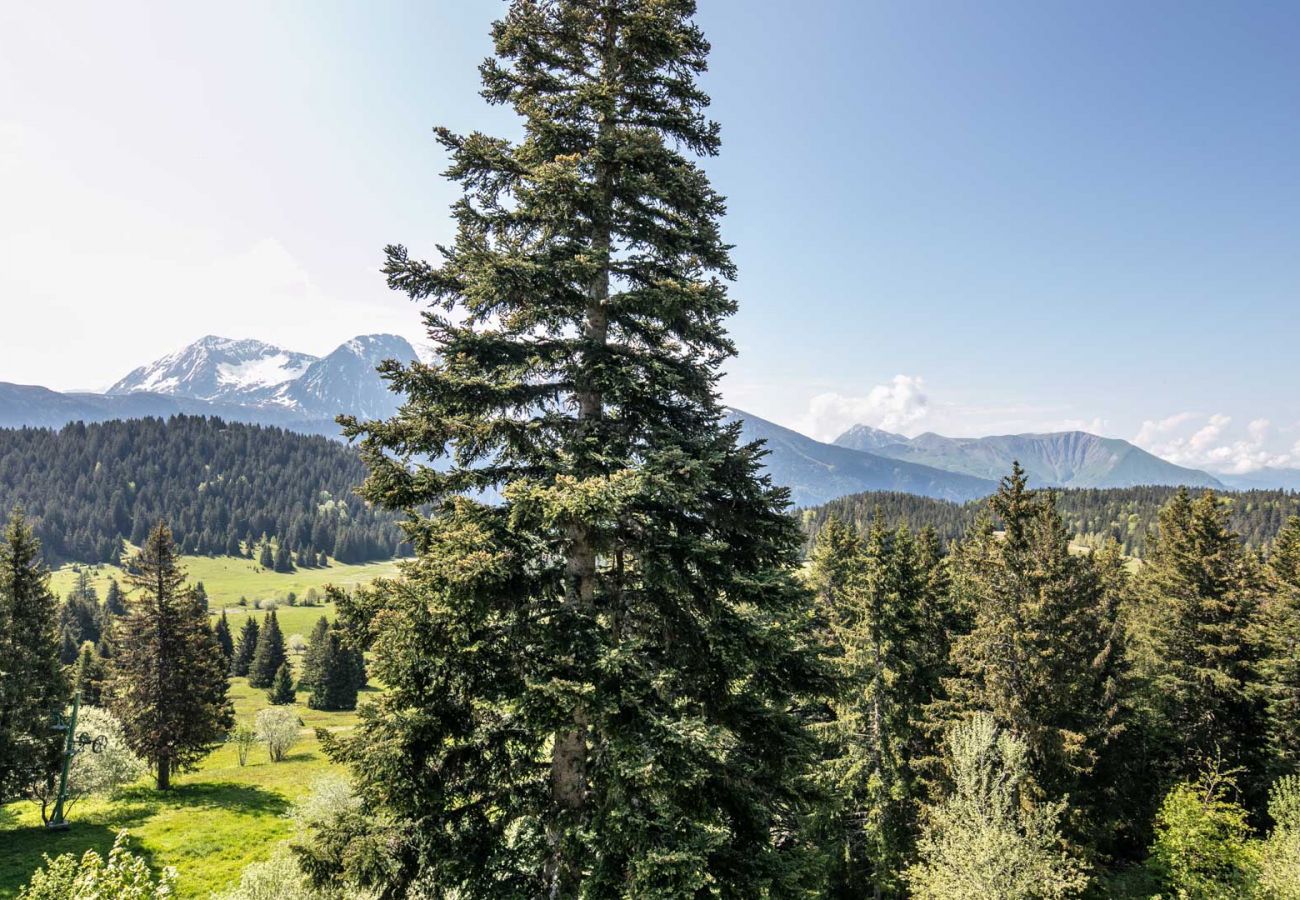 Apartment in Chamrousse - Wondrful apt 4/6 ppl near the ski station, mountains view from balcony