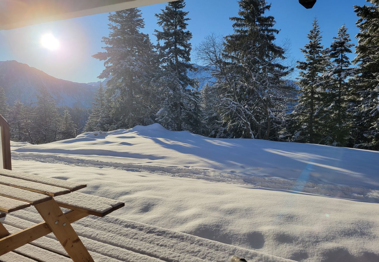 Apartment in Chamrousse - Cosy apt 4 ppl, near the ski runs