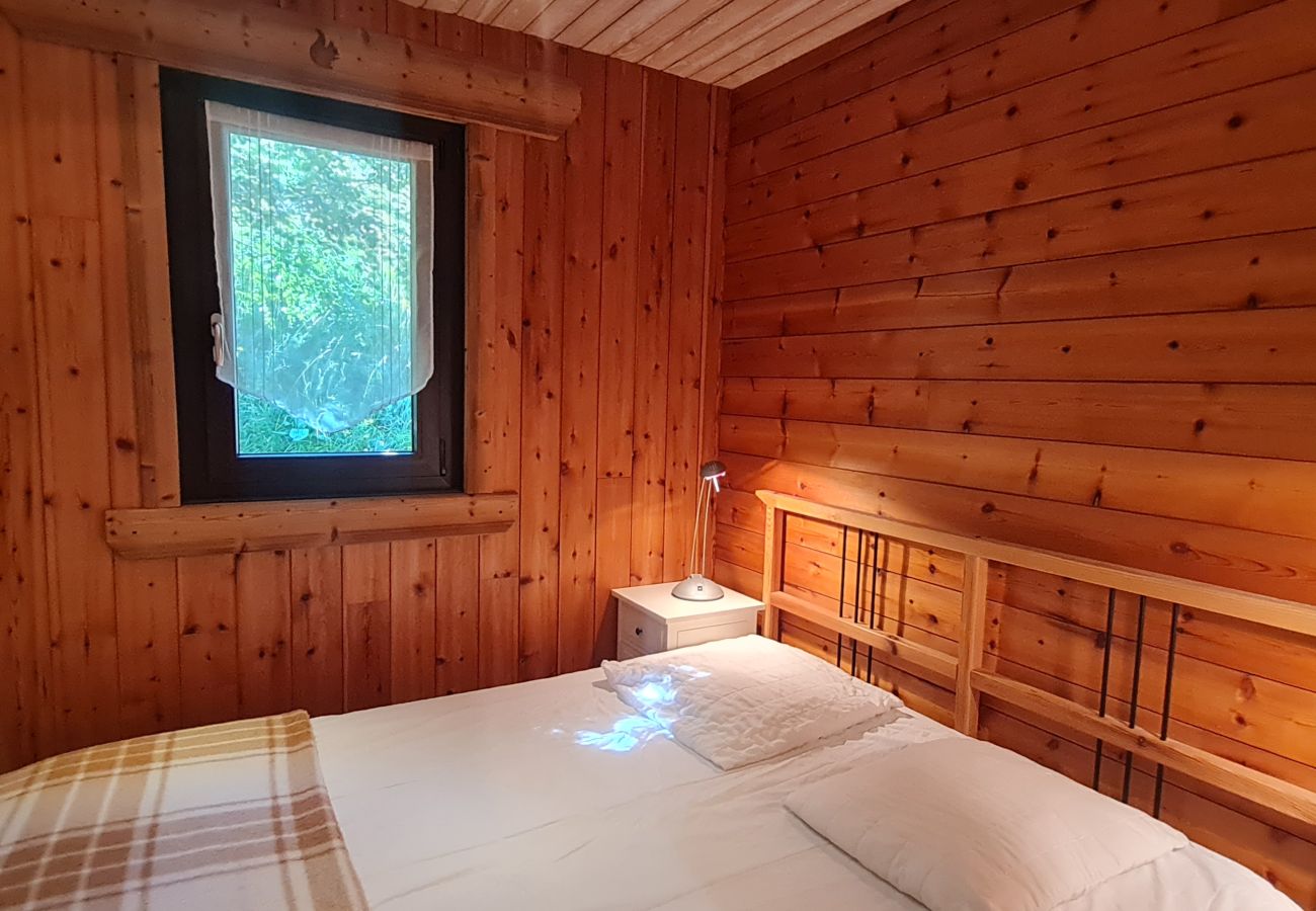 Apartment in Les Deux Alpes - Nice Apt for 7 pers Mountain view