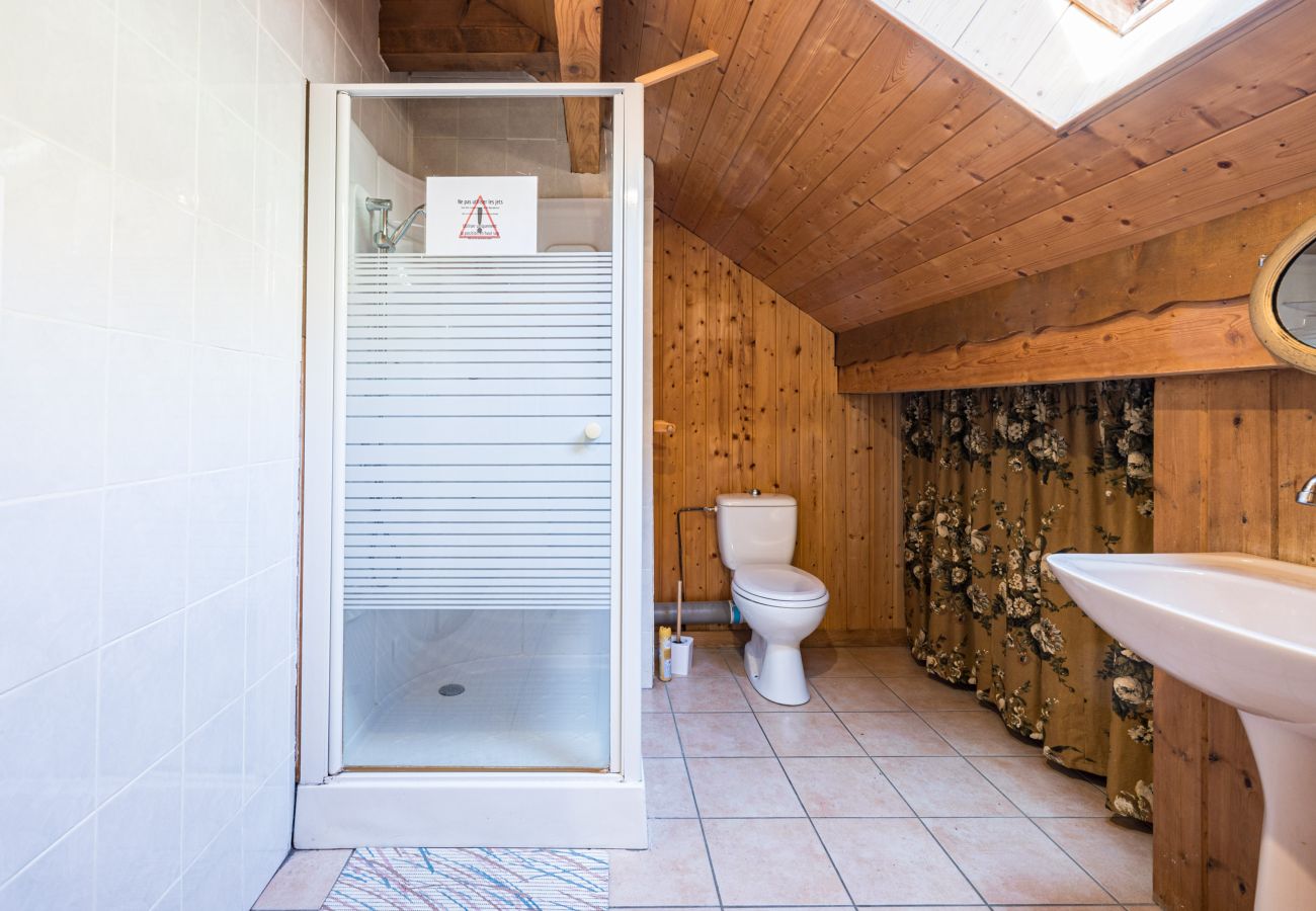 Chalet in Saint-Sorlin-d´Arves - Fully equipped chalet for 14 pers