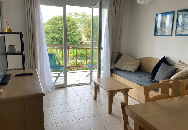 Apartment in Ondres - apartment, balcony, view of nature, sleeps 6