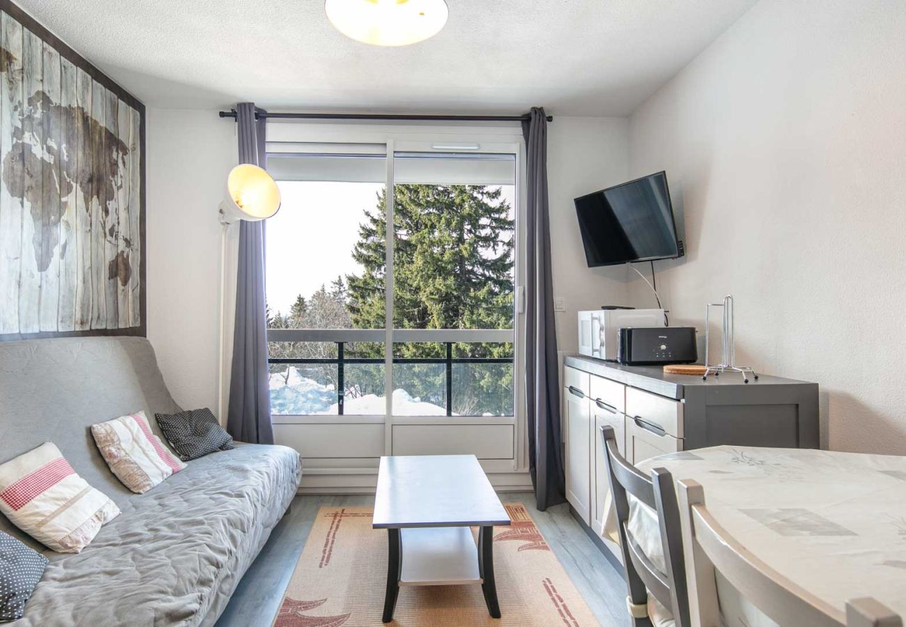 Studio in Chamrousse - Charming studio apartment, sleeps 6-7, mountain view