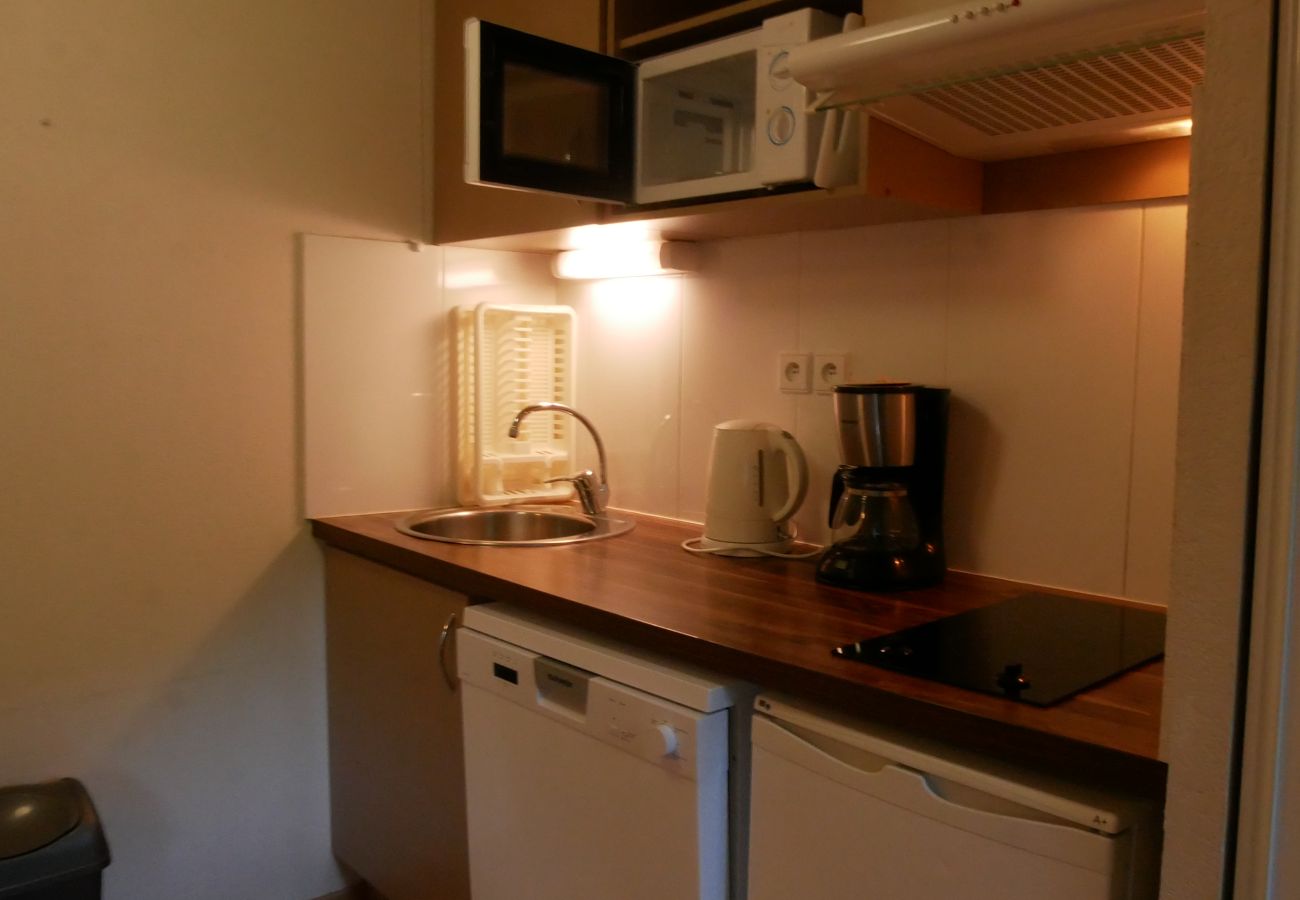 Apartment in Ax-les-Thermes - Apartment cabin with mountain views – sleeps 4