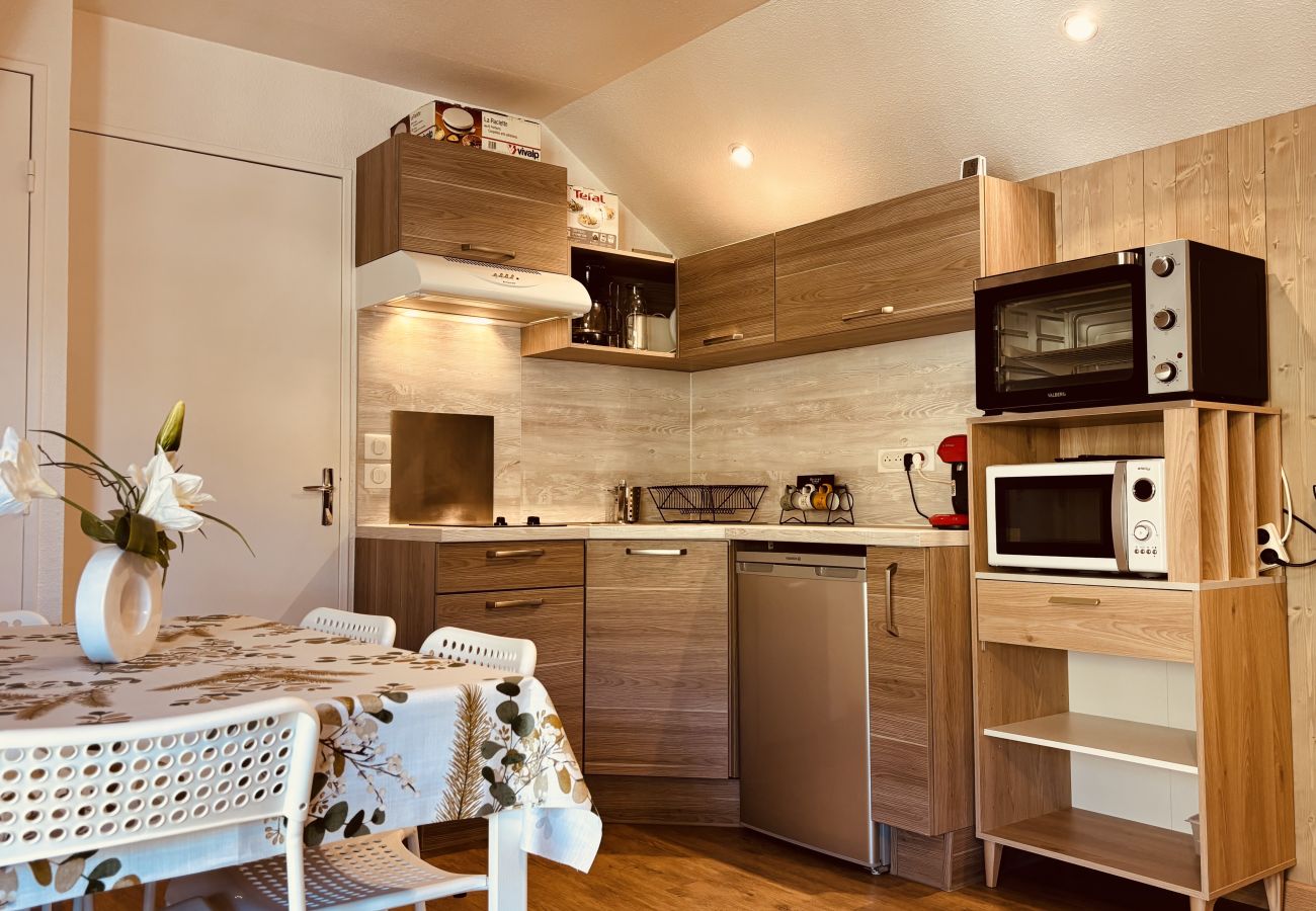 Studio in Les Deux Alpes - Bright studio ski slopes view for 