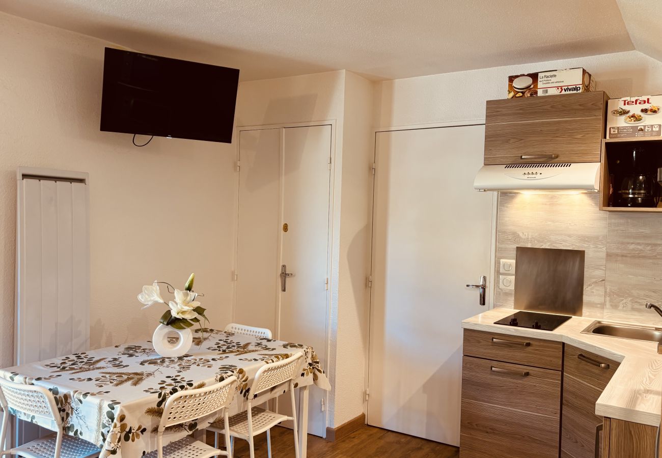 Studio in Les Deux Alpes - Bright studio ski slopes view for 