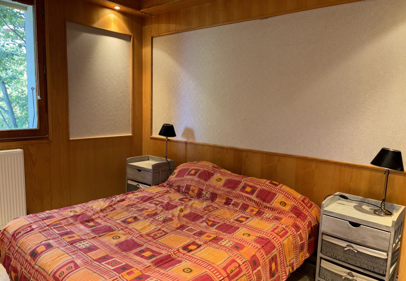 Apartment in Les Deux Alpes - Apartment with balcony and ski slopes view