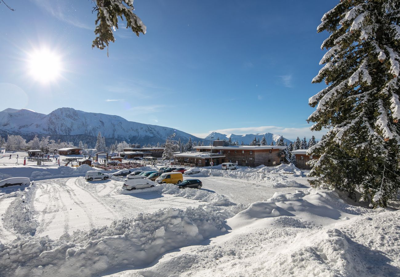 Appartement à Chamrousse - App 4 pers superbe vue sur les montagnes 