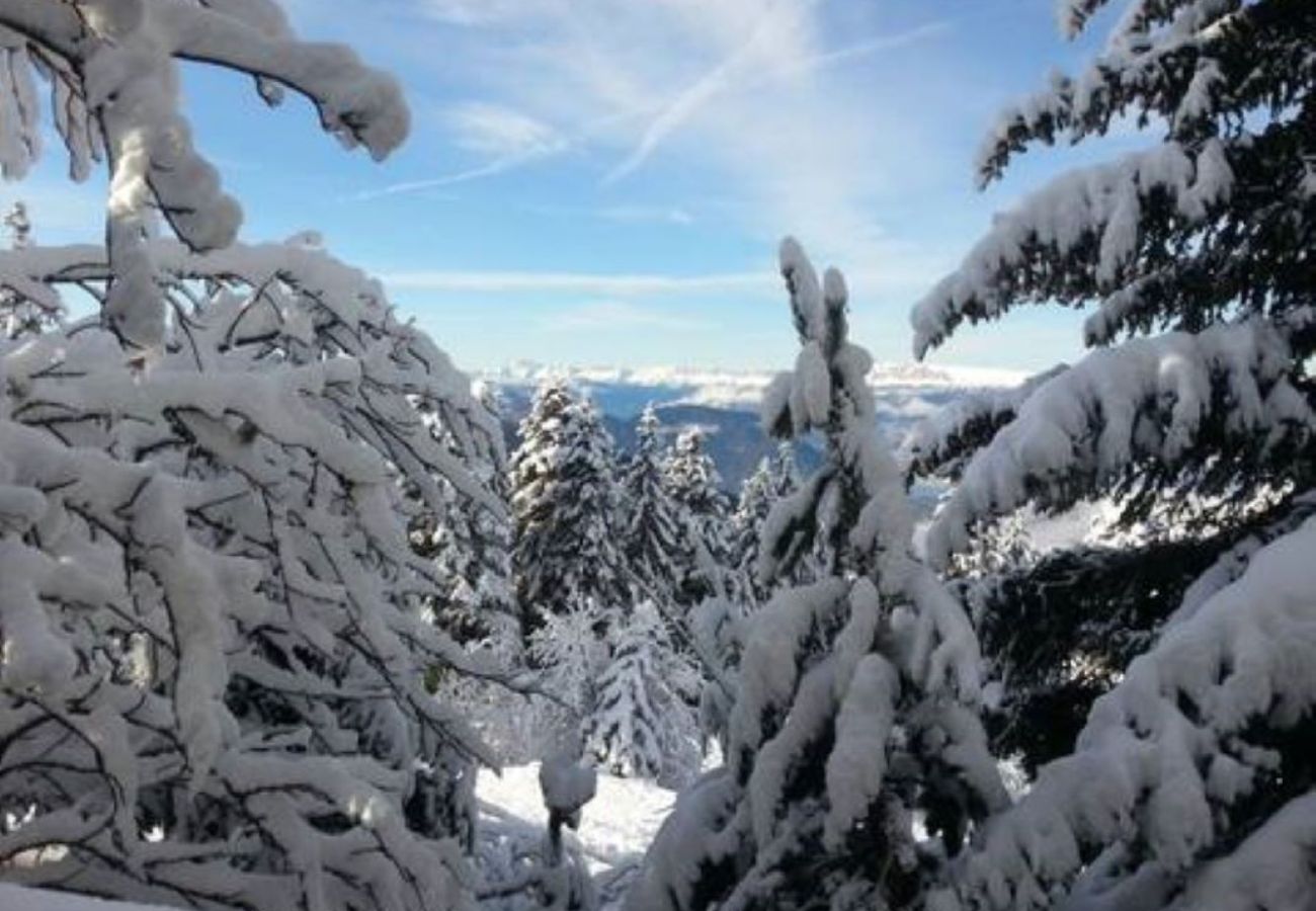 Chalet à Chamrousse - Chalet insolite, 2 pers, terrasse vue montagne
