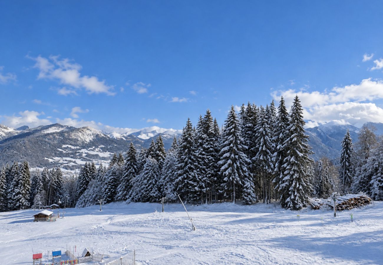 Appartement à Morillon - Appartement avec balcon vue pistes de ski