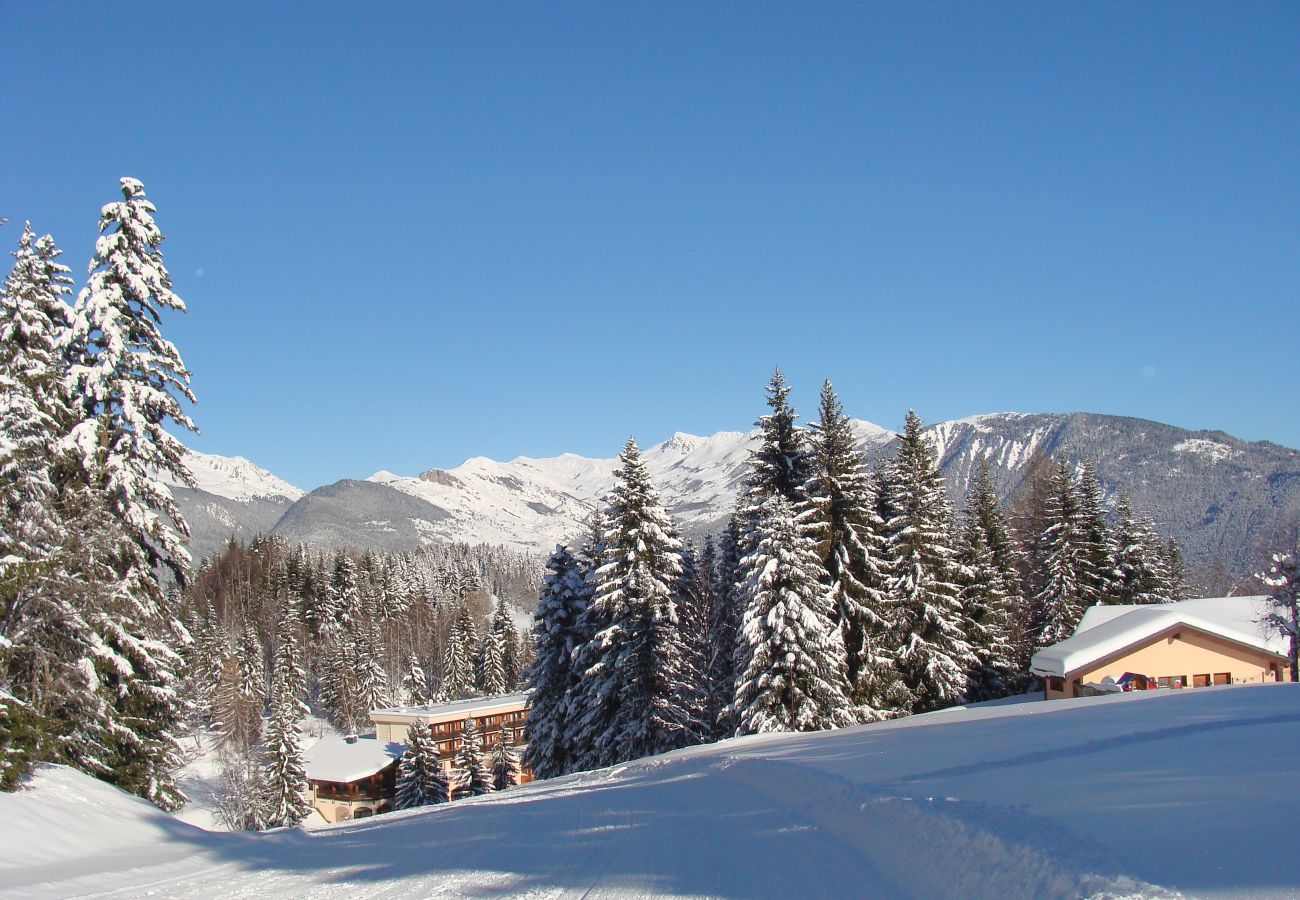 Chalet à La Léchère - Chalet tout équipé skis aux pieds vue montagne